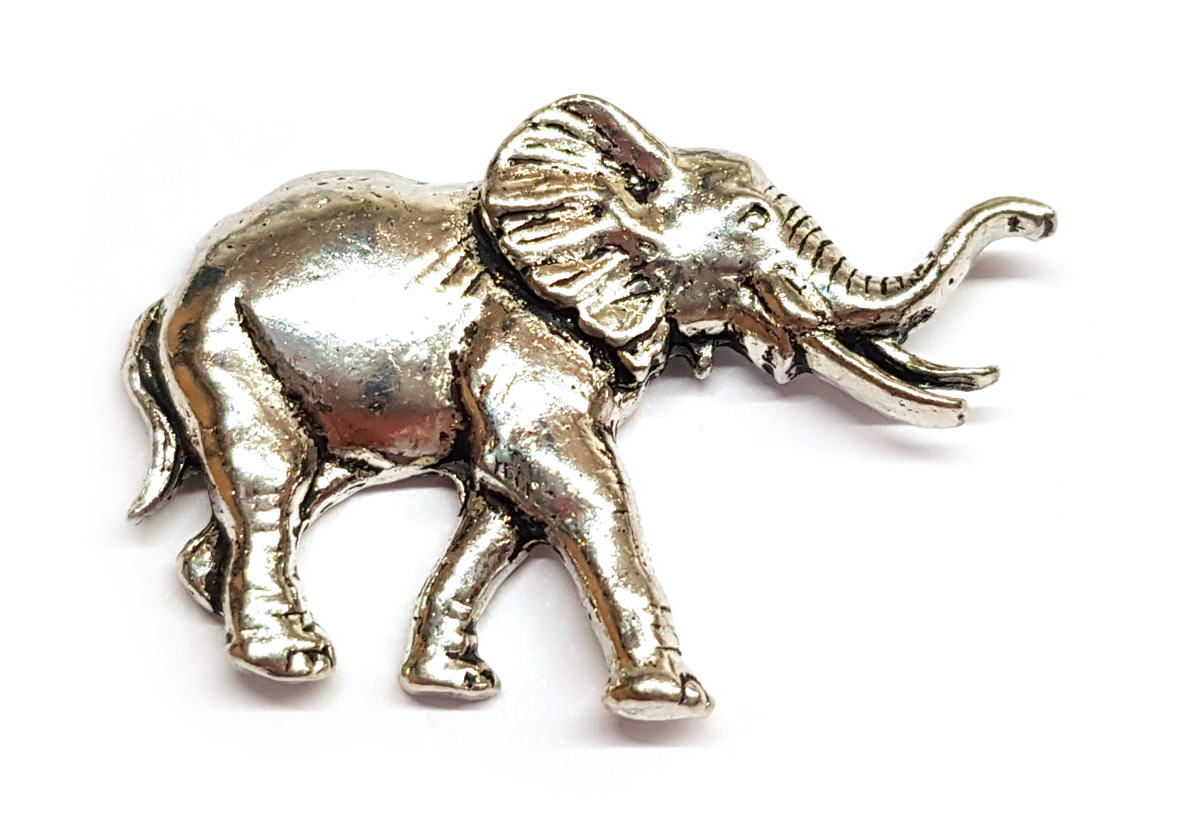 Odznak slon
