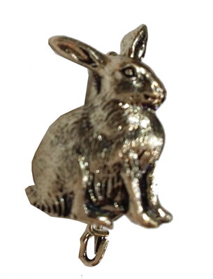 Odznak zajac