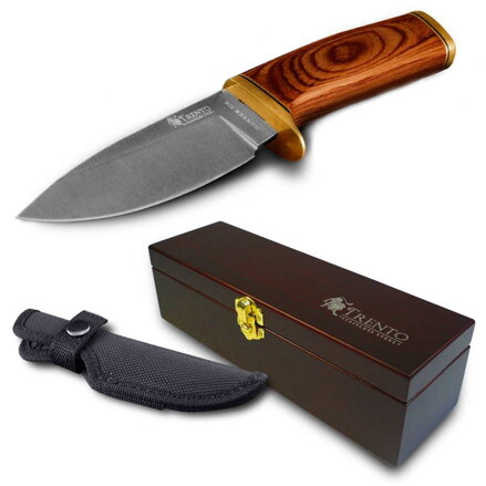 TRENTO HUNTER 520